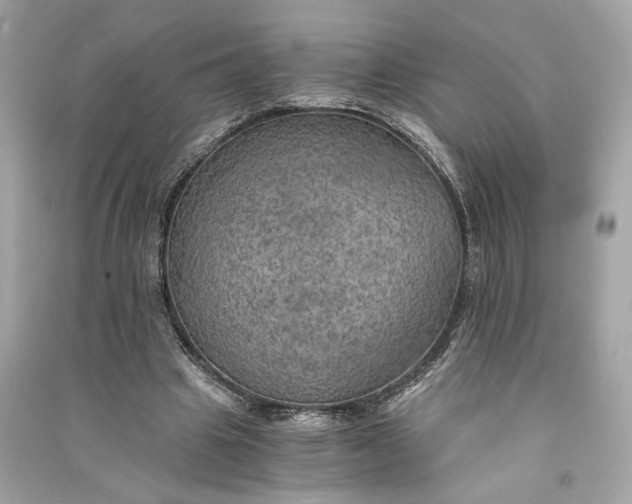 X0000090780441200708101836
