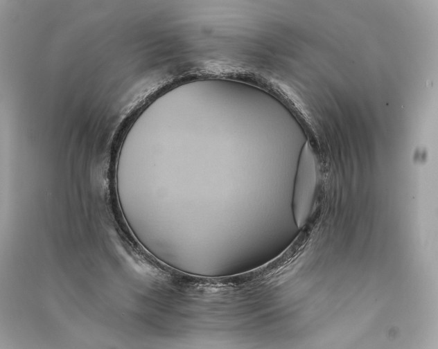 X0000090780443200708101836