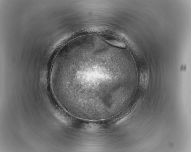 X0000090780444200708101836