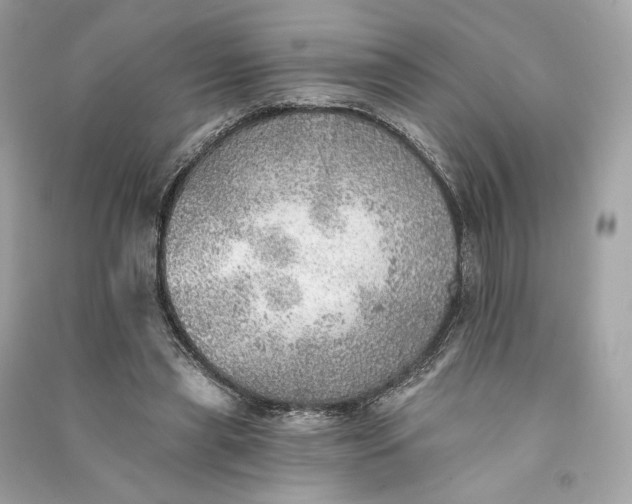 X0000090780445200708101836
