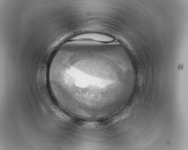 X0000090780446200708101836