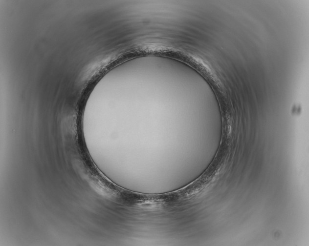 X0000090780447200708101836