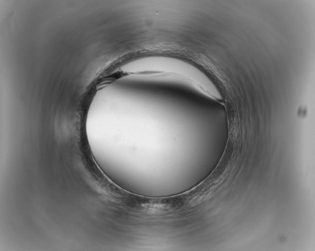 X0000090780448200708101836