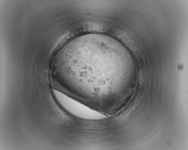 X0000090780449200708101836