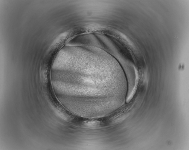X0000090780452200708101836