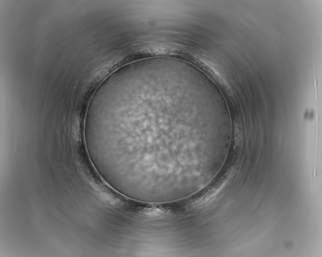 X0000090780453200708101836