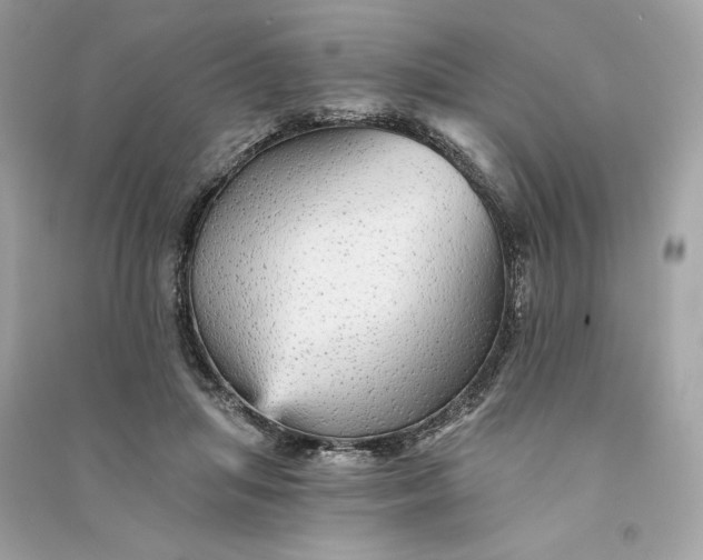 X0000090780455200708101836