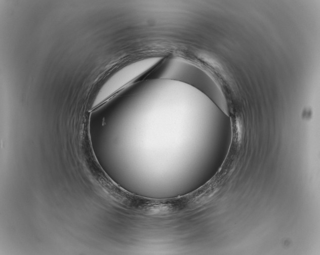 X0000090780456200708101836