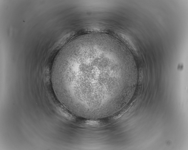 X0000090780457200708101836