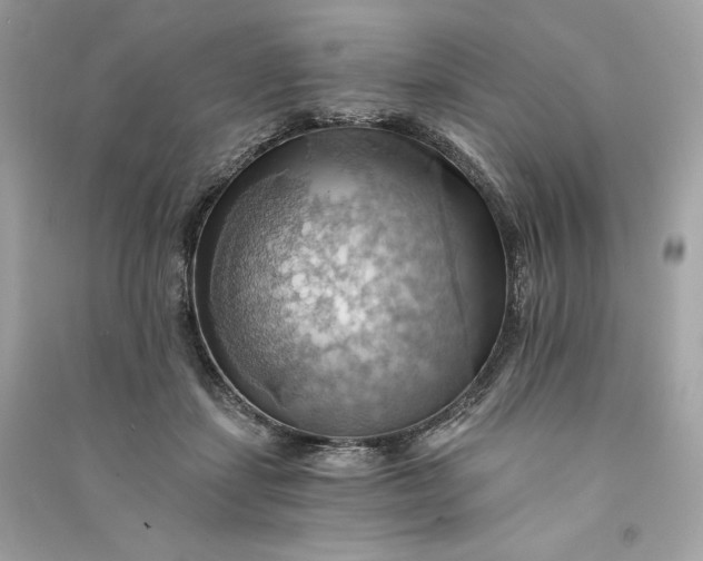X0000090780459200708101836