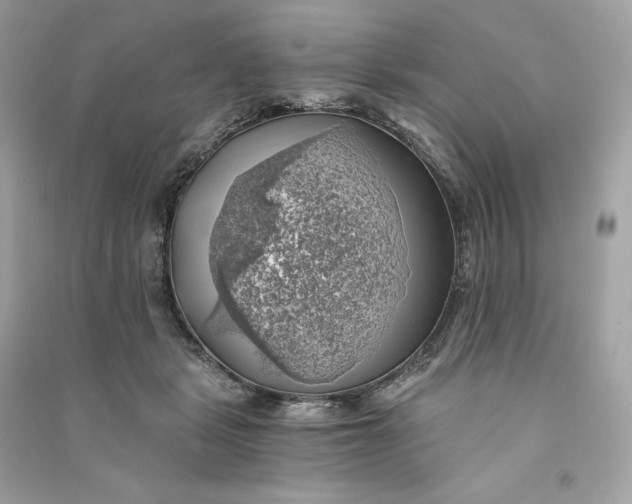X0000090780461200708101837