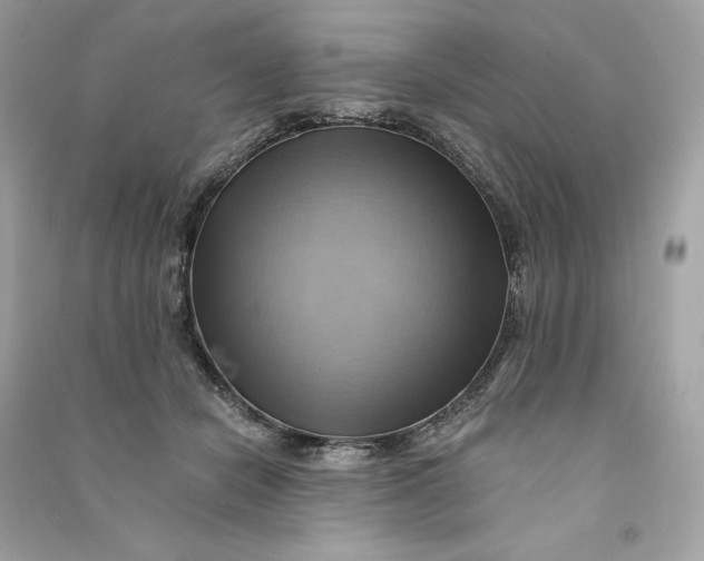 X0000090780462200708101837