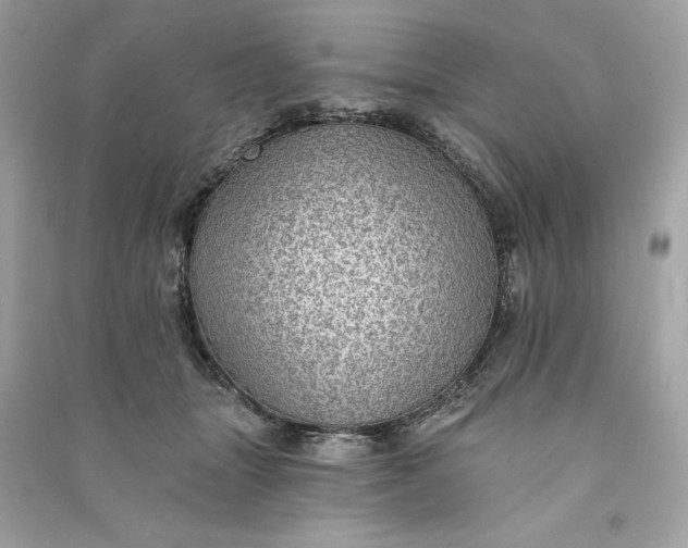 X0000090780463200708101837