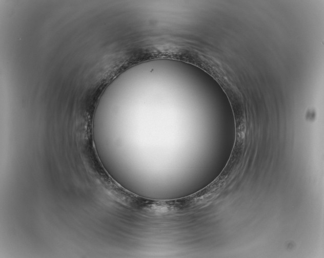 X0000090780464200708101837