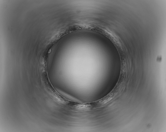 X0000090780465200708101837