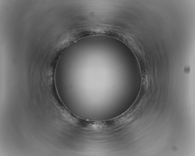X0000090780466200708101837