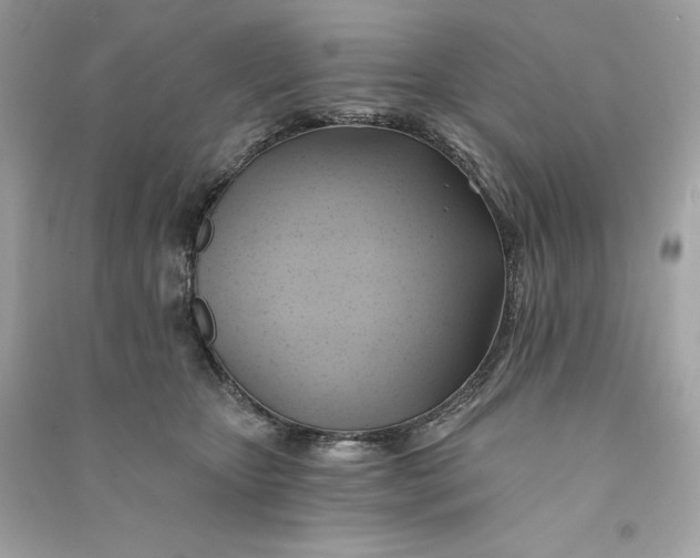 X0000090780467200708101837