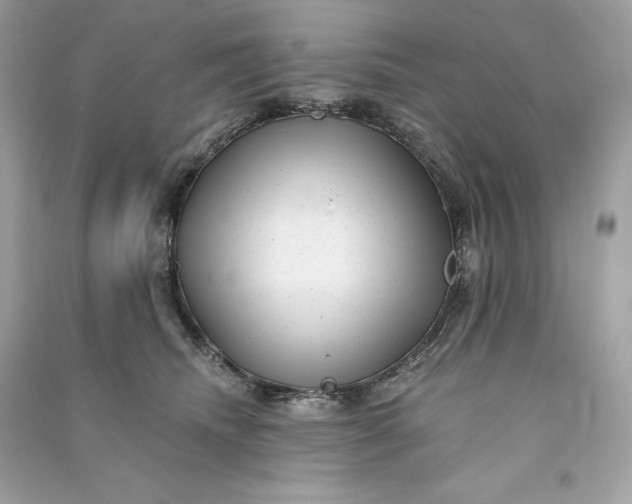 X0000090780468200708101837