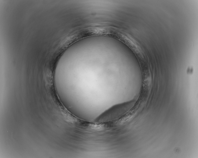 X0000090780469200708101837