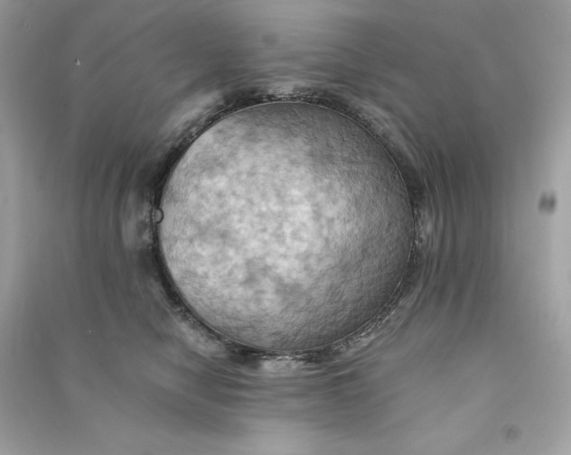 X0000090780470200708101837