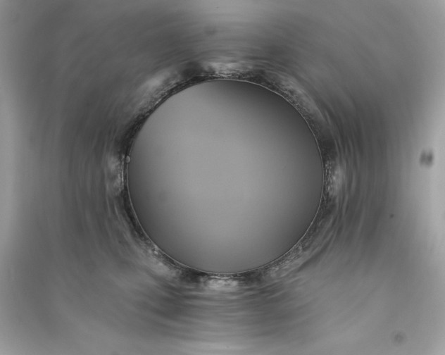 X0000090780471200708101837