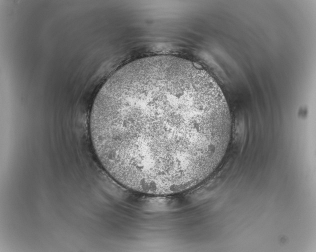 X0000090780473200708101837
