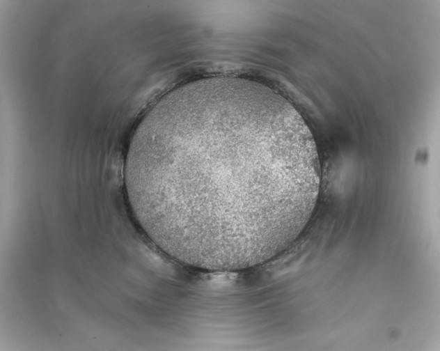 X0000090780474200708101837
