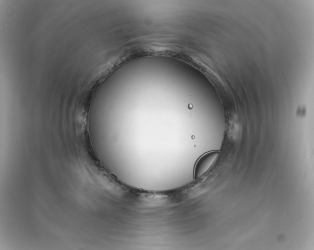 X0000090780476200708101837