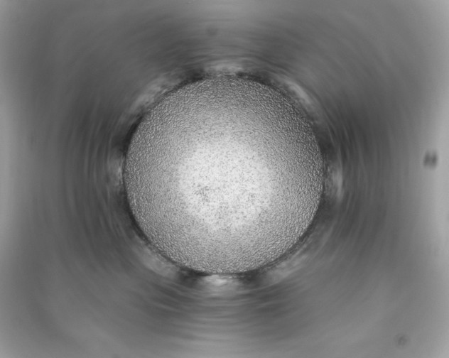 X0000090780477200708101837