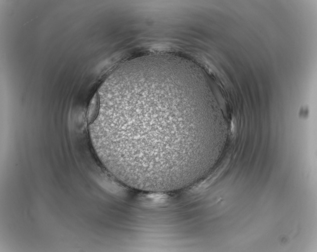X0000090780478200708101837