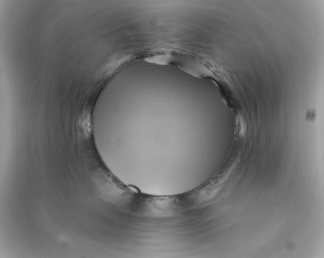 X0000090780479200708101837