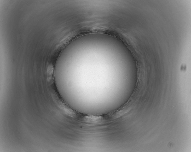 X0000090780480200708101837