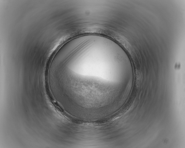 X0000090780482200708101836