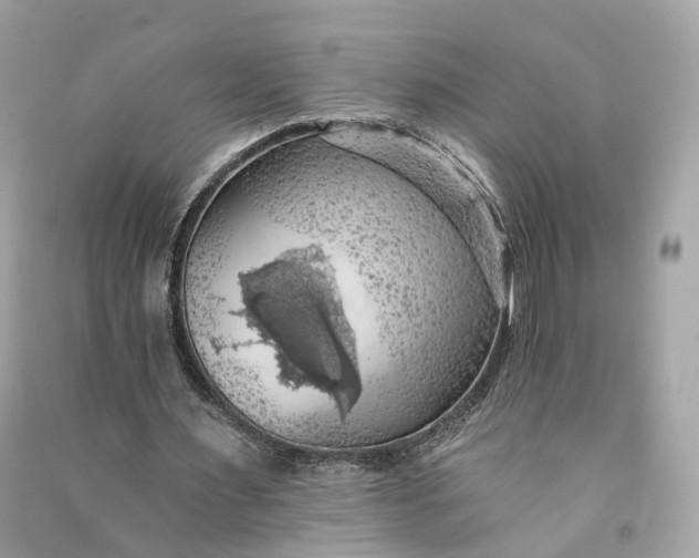 X0000090780483200708101836