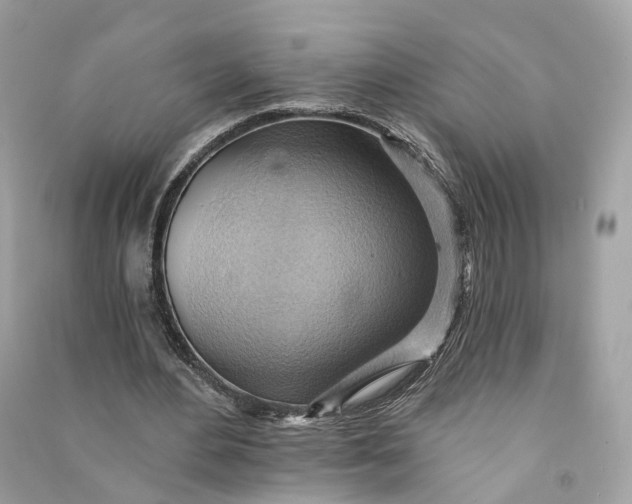 X0000090780484200708101836