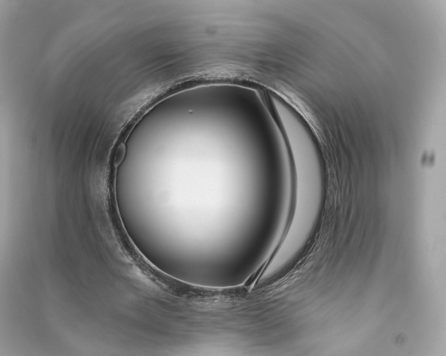 X0000090780485200708101836