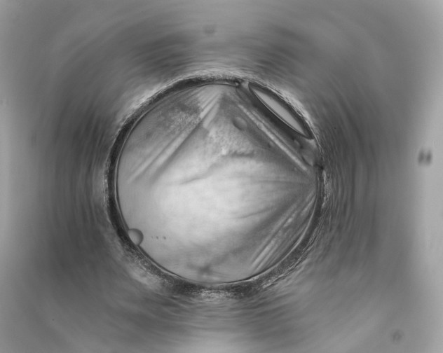X0000090780487200708101836