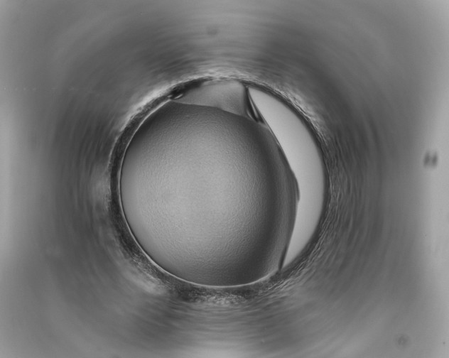 X0000090780488200708101836