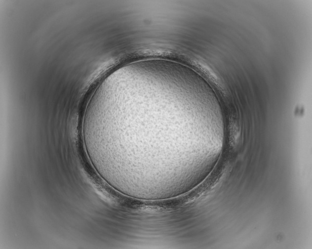 X0000090780490200708101836
