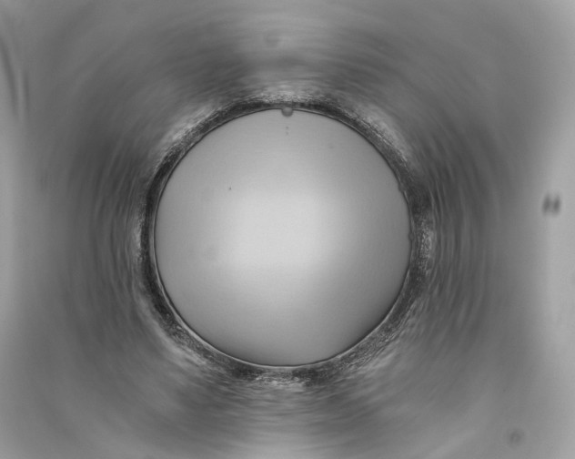 X0000090780491200708101836