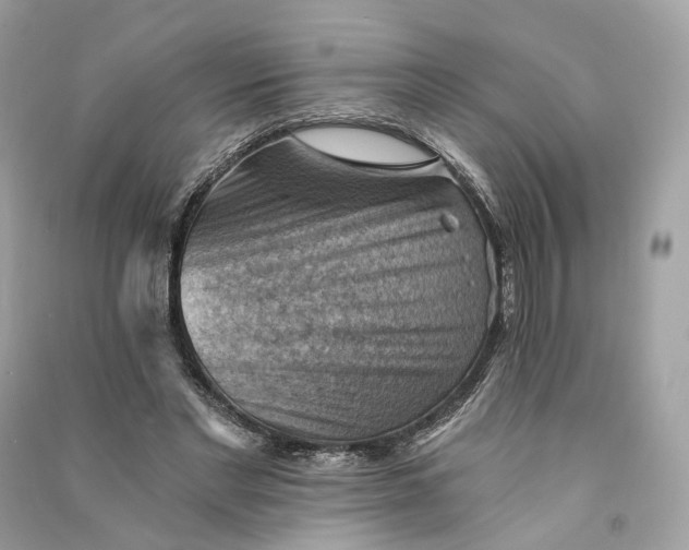 X0000090780493200708101836