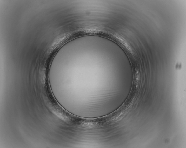 X0000090780494200708101836