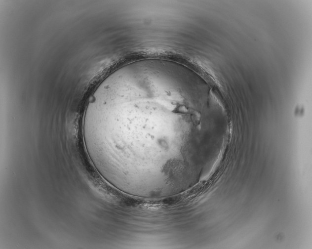 X0000090780495200708101836