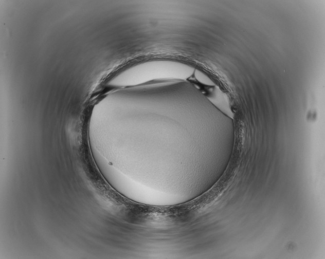 X0000090780496200708101836