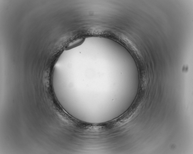 X0000090780497200708101836
