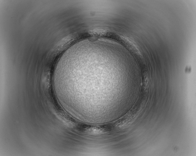 X0000090780498200708101836