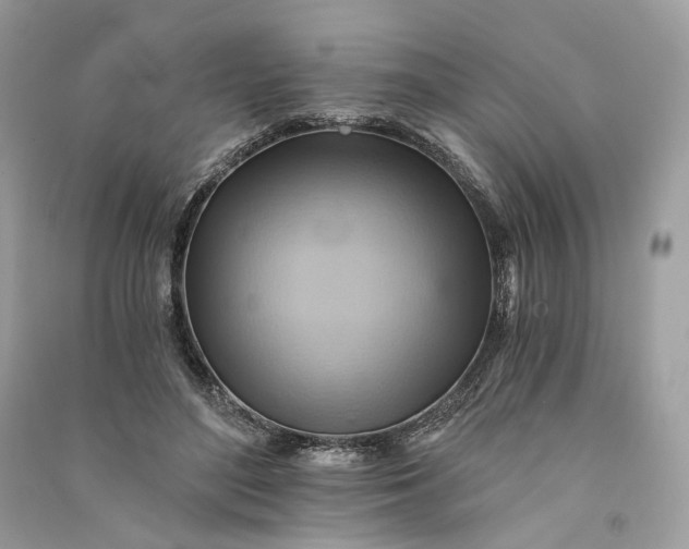 X0000090780500200708101836