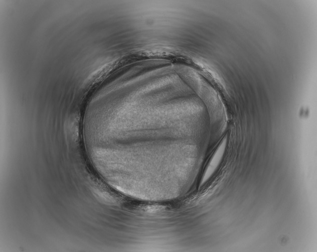X0000090780501200708101836