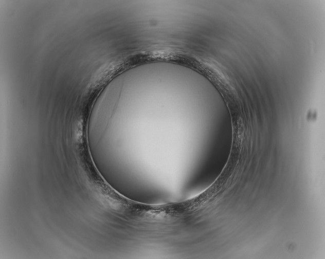 X0000090780502200708101836