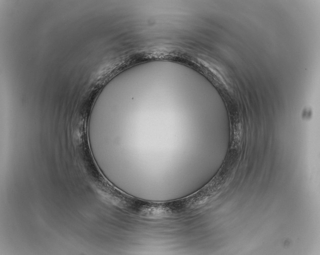 X0000090780503200708101836